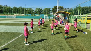 영광군 하계 전국 초등학교 축구 리그 마무리